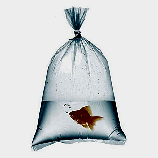 Naylon Torba 70X100 cm 1 kglık pakette