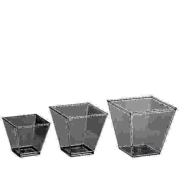 Kristal Prizma Kase 60 cc 50 adet