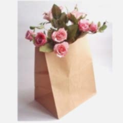 Kese Kraft 32x28x16 Cm Kare Dipli