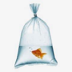 Naylon Torba Yarımlık 15x30 cm 1 kglık paketlerde