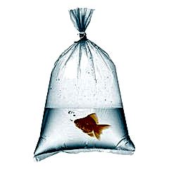 Naylon Torba İkilik 26x36 cm 1 kglık Paketlerde