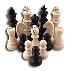 Star Okul Satranç Takımı Büyük 1 Takım